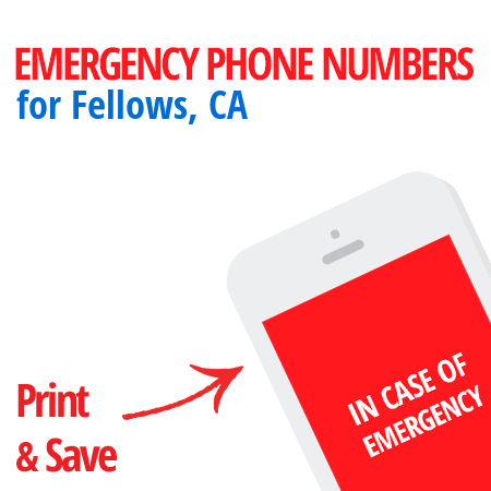 Important emergency numbers in Fellows, CA