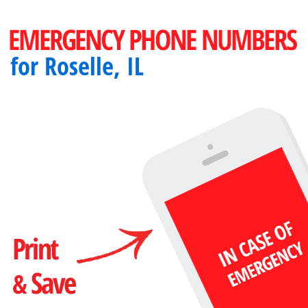 Important emergency numbers in Roselle, IL