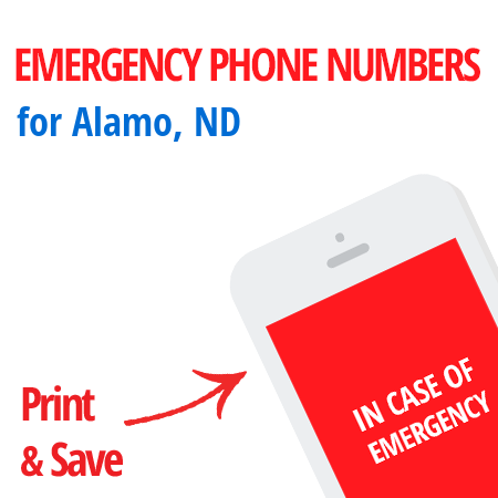 alamo travel group emergency number